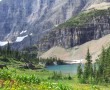 Wiese in der Nähe des Iceberg Lake