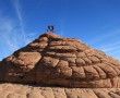 Petrified Sanddunes, bei Kayenta, Utah