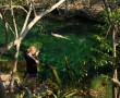 Cenote Eden, Quintana Roo