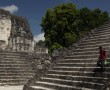 Tikal