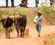 Transportmittel auf dem Land