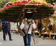 Feria de las flores - Medellin