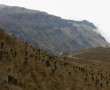 Unterwegs im NP Nevado del Ruiz