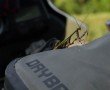 Besuch einer Mantis