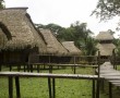 Cuyabeno Lodge