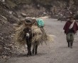 Transport in den ecuadorianische Anden