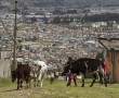 Quito