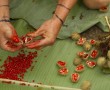 Achiote zum Färben der Haare