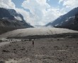 Athabascan Glacier in Jasper NP