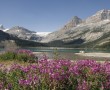 Bow Lake Banff NP